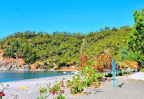 Santana Gocek