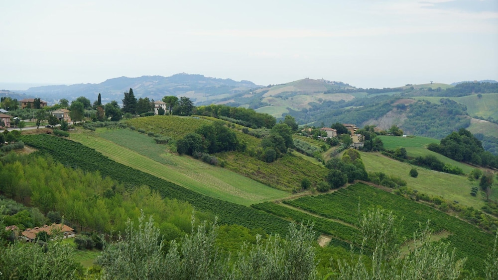 Glamping at an Agriturismo in the Vineyard