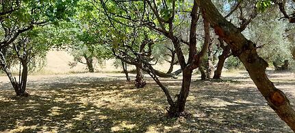 Glamping at an Agriturismo in the Vineyard