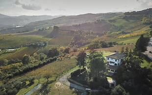 Glamping at an Agriturismo in the Vineyard
