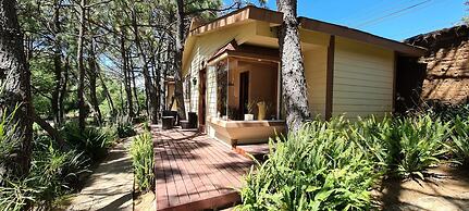 Quinta Tere Hotel & Gallery