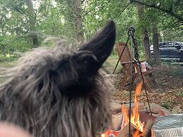 3 Guests - Pet Friendly - Grid Tree-house