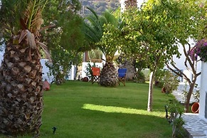 maistrali studios