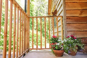 The Owl's Shack