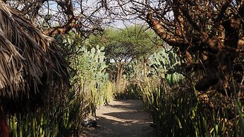 Tindiga Tented Camp