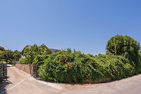 Hilltopanorama
