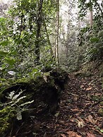 Arte de Plumas birding lodge