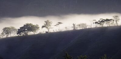 Arte de Plumas birding lodge