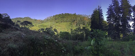 Arte de Plumas birding lodge
