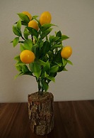 Limon Pansiyon