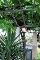 Sunsea Wellness Resort