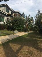 The GreenVille Home