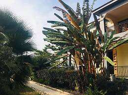 The GreenVille Home