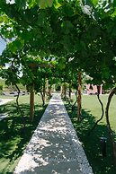 Quinta Vale de Sousa - Douro Valley