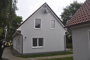 Belthus