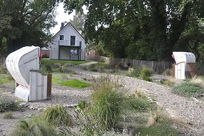 Belthus