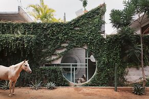 Casa TO - Adults Only