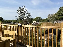 Lion King Safari Tent