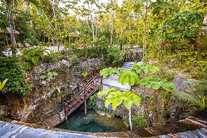 Nuuku