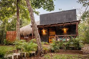 Nuuku