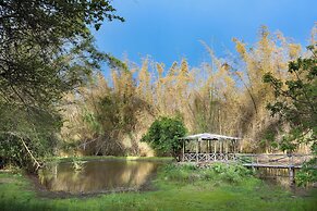 Jungle Hut Resorts
