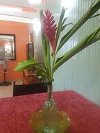 Coco Mango Suites