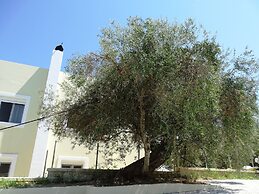 Lyrids Apartments