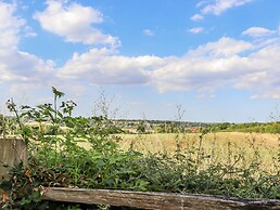 The Orchard