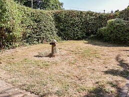 The Orchard