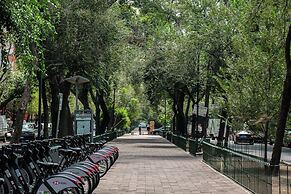 Nido Roma Norte