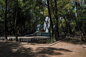Nido Roma Norte
