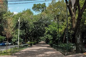 Nido Roma Norte