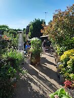 The WoolPack Inn