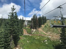 Trapper's Lodge 4 Bd W/great View, Private Hot Tub