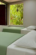 Green Jungle House
