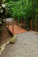 Green Jungle House