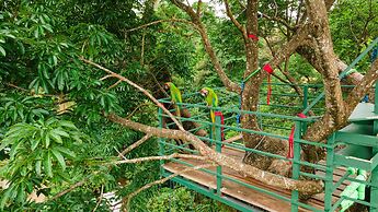 Green Jungle House