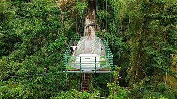 Green Jungle House
