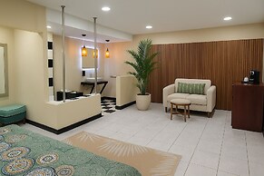 Green Jungle House