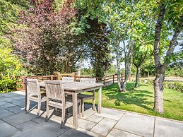 The Paddock