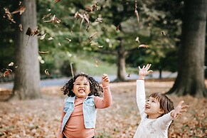 Treeloft Adventure in Nature for 4 People 7