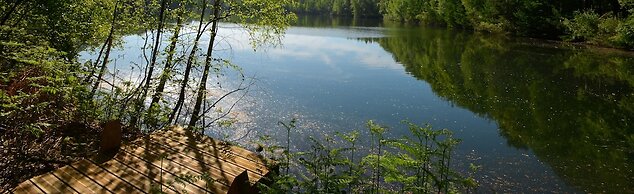 Treeloft Adventure in Nature for 4 People 11