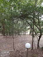 Adventure Holiday in Cilento