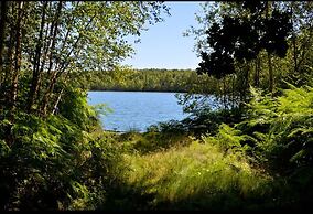 Treeloft Adventure in Nature for 4 People 5