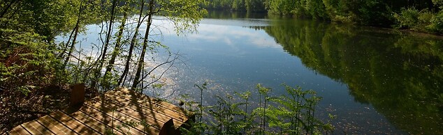Treeloft Adventure in Nature for 4 People 8