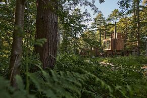 Treeloft Adventure in Nature for 4 People 8