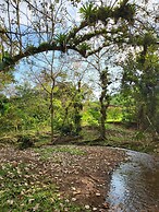 Jaco-carara 3 Bdrm Surrounded by Rainforest With Private Pool