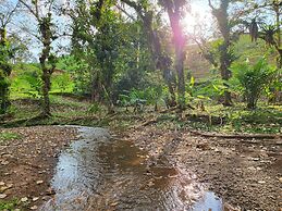 Jaco-carara 3 Bdrm Surrounded by Rainforest With Private Pool