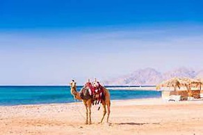 Beautiful 2bed Appt in Hurghada, Short & Long Term