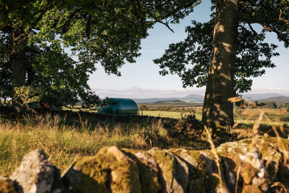 Cardross Estate Glamping